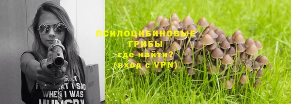 первитин Бородино