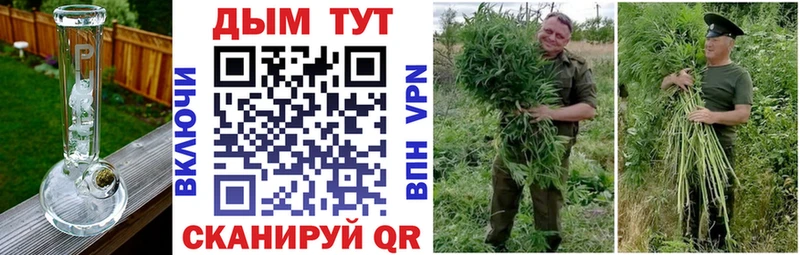 Бошки Шишки план Лянтор
